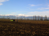 El clima de precordillera de la región de Bio Bio proporciona un ambiente óptimo para la producción de plantas vigorosas y sanas