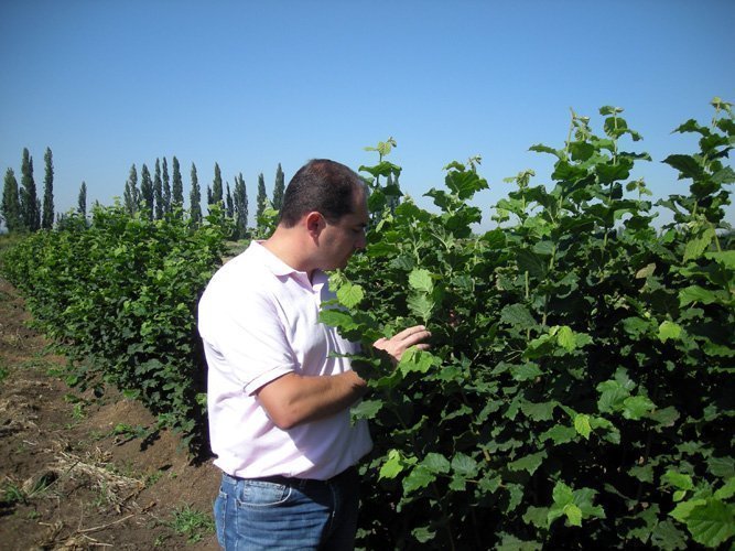 Cristhian Navarrete inspeccionando vivero