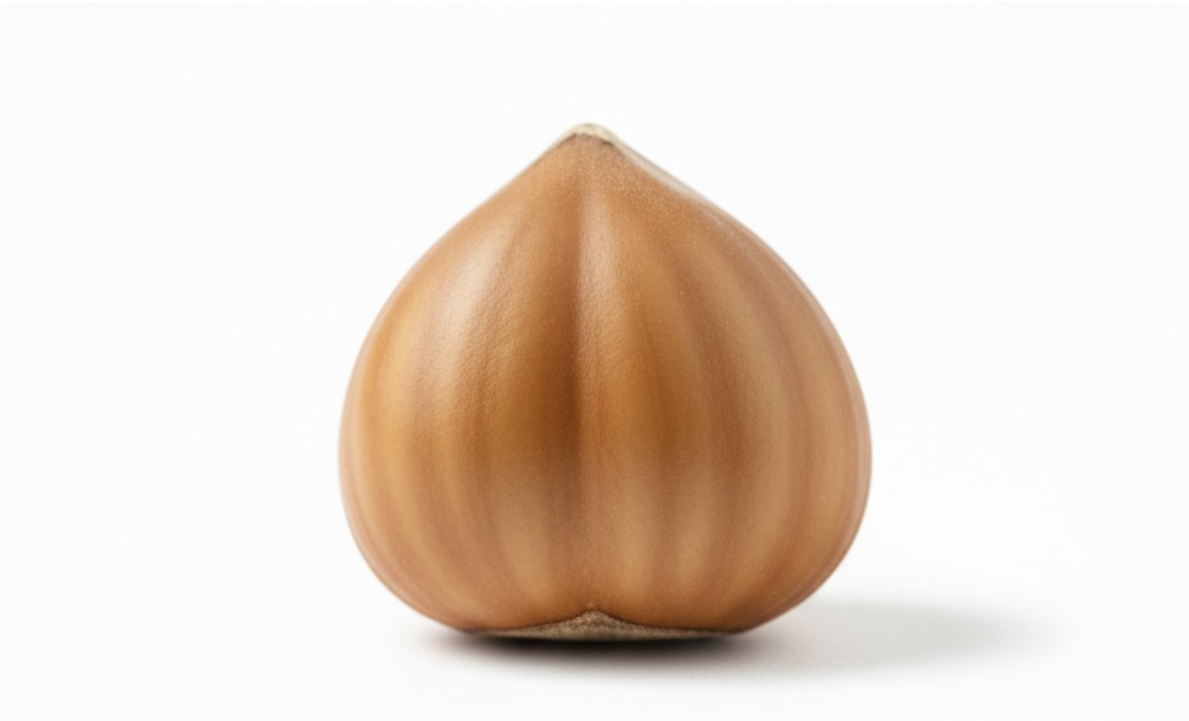 Variedad Tonda di Giffoni